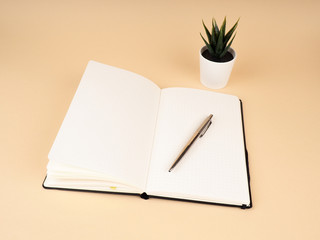 Workspace notebook, cactus plant on table. cactus and diary notebook book with pencil on beige
