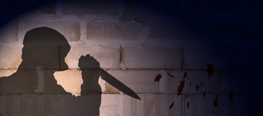 shadow of a killer with knife against concrete brick wall with blood stains,vladimir putin - obrazy, fototapety, plakaty