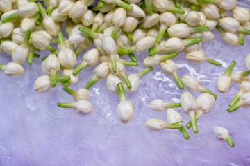 Pak Khlong Talat flower market in Bangkok Thailand