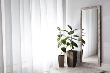 Large mirror and plants near window in light room