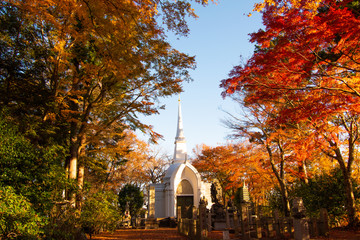 高尾山　仏舎利塔の紅葉