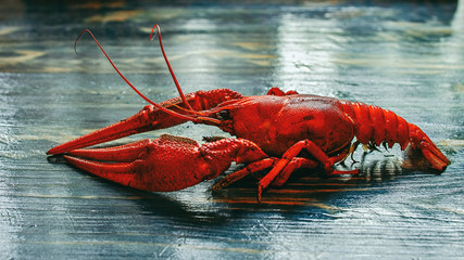 Tasty red crayfish lies on the board. Eat it.