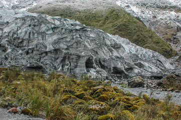 New Zealand - Fox Glacier 