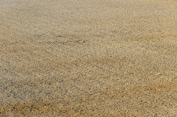 Field plowed, sown cereals. Plowed field in spring day. Black soil plowed field. Plowed field. Earth texture. Rustic background.