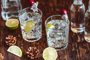 Ideas of winter drinks from gin and tonic for the new year. A bottle of gin and water tonic on a wooden table