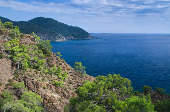 Mountain vegetation on the Mediterranean coast © Андрей Медведев