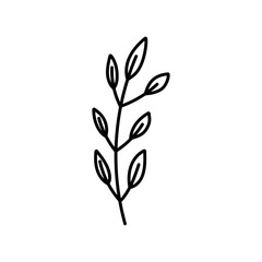 branch foliage leaves organic decoration icon thick line