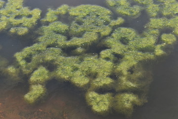 aerial view of landscape