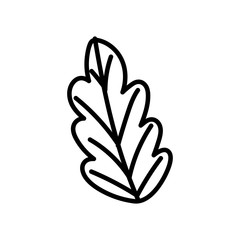 leaf foliage botanical nature icon design thick line