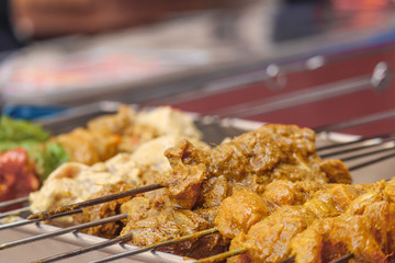 Selected Focus on Marinated Veg and Non Veg Barbeque BBQ