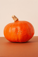 Ripe orange pumpkin on a table on white natural background. Vertical..