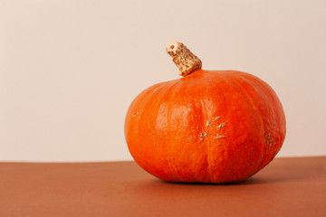 Ripe orange pumpkin on a table on white natural background. Horizontal.