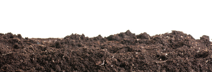 Soil closeup isolated on white. Earth background. Blank for your creativity