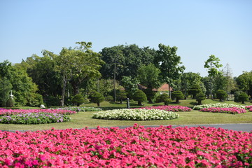 Gardens with flowers and ornamental plants.	