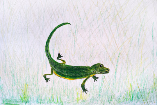 Lizard. Child pencil hand drawing.