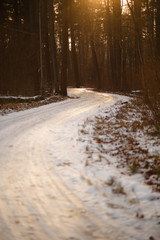 Road in a pine forest on a Sunny spring day. The icy path with footprints and skis glistens in the warm rays of the sun.