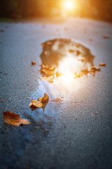 Herbstiliches Spazierengehen in Einem Park mit Pf&uuml;tze