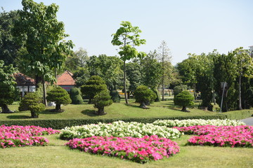 Gardens with flowers and ornamental plants.	