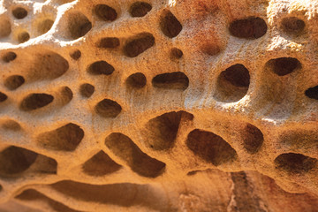 Yellow geoforms in Labetxu on Mount Jaizkibel, Basque Country