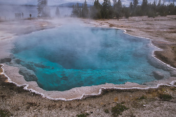 West Thump Geysir im Yellowstone Park