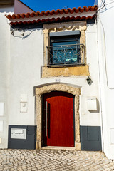 Tentugal Modern Door on an Old Frame