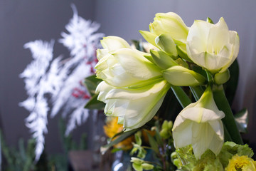 Close-up flower shop window with hippeastrum white flowers, selective focus