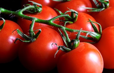 red tomatoes as a background for artists