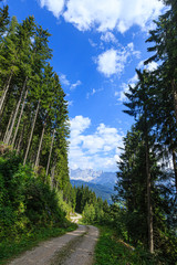 Wanderweg von der Reiteralm nach Schladming, hinten Dachsteinmassiv