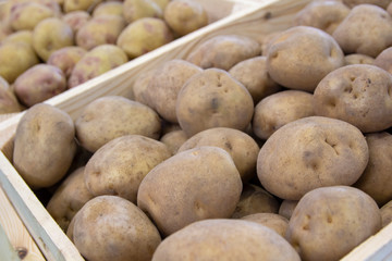 Potatoes on display at farmer market. Food