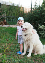 Little cute toddler girl playing with her big white shepherd dog in sunny day, selective focus on face