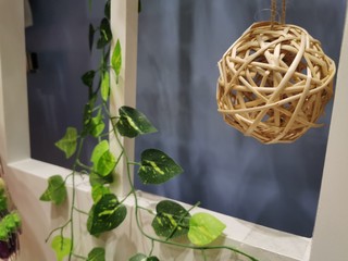 Beautiful interior decoration of a window decorated with plants and rattan weave ball.