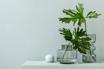 Minimalistic interior design of living room at nice apartment with stylish shelf, glassy vases with tropical flowers and elegant accessories. Copy space. Eucalyptus color concept. Template. 