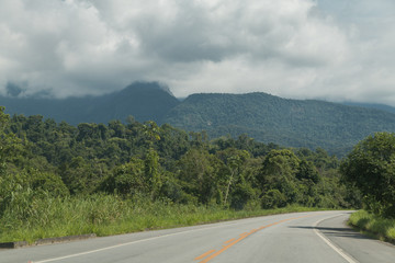 Costa Verde road, Brazil, South America