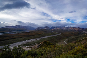 Denali park