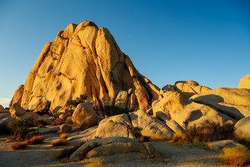 Obraz premium Giant Rocks in the Joshua Tree National Park, California