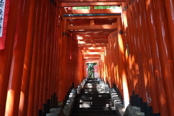 Weg mit roten Torii-Bögen Tor Bögen in Tokyo Japan