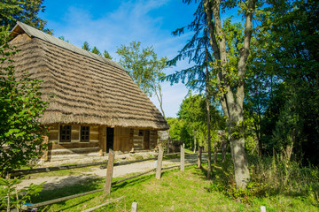 Ukrainian village rural landmark view wooden house porch exterior surrounded by garden trees green foliage in spring time clear weather bright day  © Artem Kniaz
