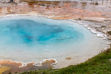 Norris Geyser Basin in Yellowstone National Park