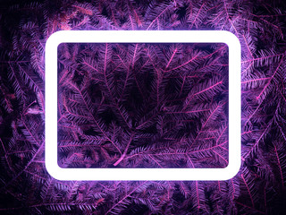Creative fluorescent color layout made of spruce branches