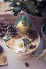 Christmas background with winter flowers and decoration