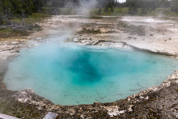 Colorful hot springs thermal pool, at Yellowstone National Park