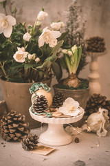 Christmas background with winter flowers and decoration