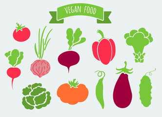 Collection of vector vegetables. Vegan food. Illustration
