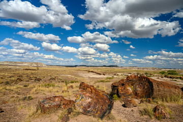 Petrified Forest National Park, Arizona, USA