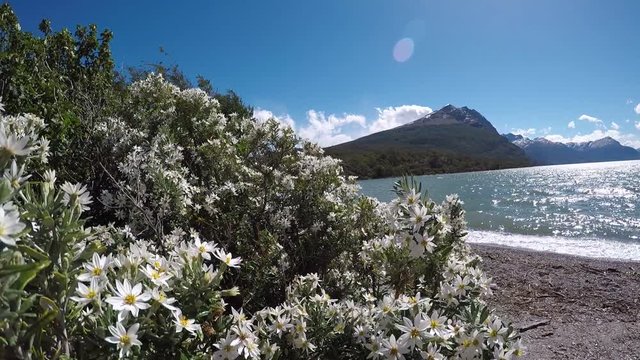 Lake Acigami in National Parck Tierra del Fuego, Ushuaia