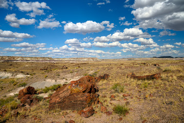 Petrified Forest National Park, Arizona, USA