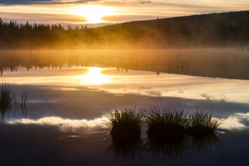Russian northern landscape. Kola Peninsula, the Arctic. Murmansk region. Swamp with morning haze at sunrise