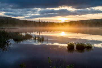 Russian northern landscape. Kola Peninsula, the Arctic. Murmansk region. Swamp with morning haze at sunrise