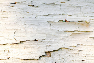 White wooden surface with peeling paint. Disrepair