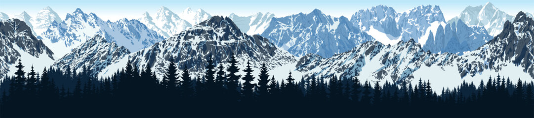 vector seamless Rocky Mountain National Park with woodland background illustration - obrazy, fototapety, plakaty